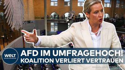 Mehr als die hälfte der Wähler würde heute die AfD wählen