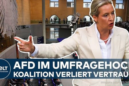 Mehr als die hälfte der Wähler würde heute die AfD wählen