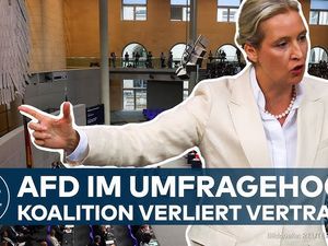 Mehr als die hälfte der Wähler würde heute die AfD wählen Mehr als die hälfte der Wähler würde heute die AfD wählen