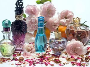 Wie wählt man das perfekte Damenparfum für den Abend? Wie wählt man das perfekte Damenparfum für den Abend?