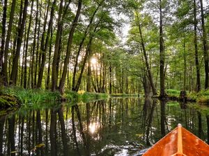 Mehr als 1.300 Kilometer Wasserwege durchziehen den Spreewald, der seit 1991 als UNESCO-Biosphärenreservat geschützt ist