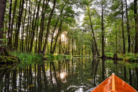 Mehr als 1.300 Kilometer Wasserwege durchziehen den Spreewald, der seit 1991 als UNESCO-Biosphärenreservat geschützt ist