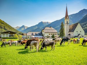 Bei den örtlichen Lechtaler Almabtrieben feiern Zuschauer die unfallfreie Rückkehr der Kühe und Rinder von ihren Almen ins Tiroler Lechtal