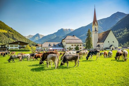 Bei den örtlichen Lechtaler Almabtrieben feiern Zuschauer die unfallfreie Rückkehr der Kühe und Rinder von ihren Almen ins Tiroler Lechtal