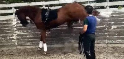 Bilder des Missbrauchs vom Stallgelände des amerikanischen Reiters Cesar Parra. Immer wieder wird auf das buckelnde Pferd eingedroschen