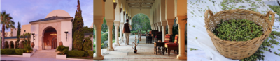 The Residence Tunis
