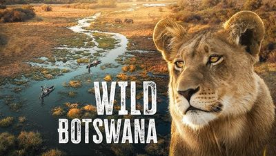 Roadtrip durch Botswana