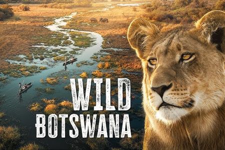Roadtrip durch Botswana