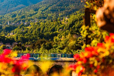 Die Bahn ist nach den Tälern benannt, die sie durchquert