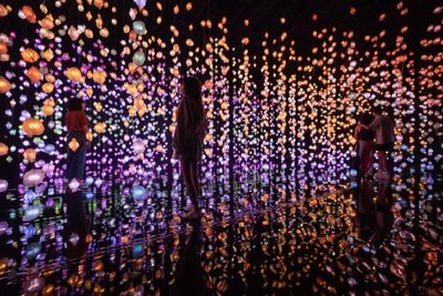 Der erste Pixelwald von Pipilotti Rist in Deutschland