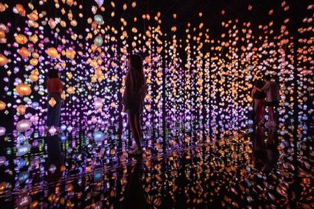 Der erste Pixelwald von Pipilotti Rist in Deutschland