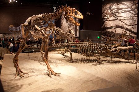 Utahs Dinosaurierwelt: Wo Urzeitlandschaften lebendig werden