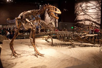 Utahs Dinosaurierwelt: Wo Urzeitlandschaften lebendig werden