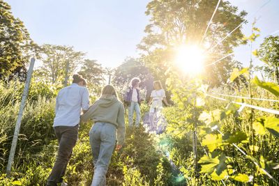 Auf den „Stäffele“ geht’s neben den Reben hoch hinaus – belohnt wird der Anstieg mit einem Picknick und der Aussicht auf den Kessel
