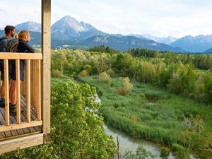 Zwei Drittel aller in Tirol vorkommenden Brutvogelarten machen Station im Schutzgebiet Pflacher Au bei Reutte – so wie auch die meisten Lechweg-Wanderer