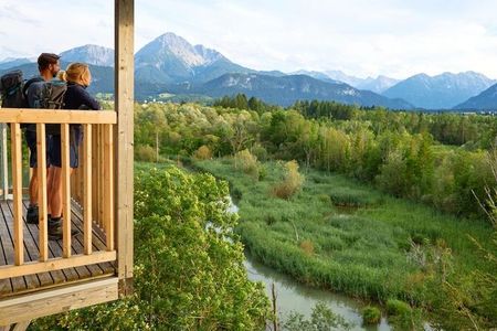 Zwei Drittel aller in Tirol vorkommenden Brutvogelarten machen Station im Schutzgebiet Pflacher Au bei Reutte – so wie auch die meisten Lechweg-Wanderer
