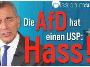 Auch Michel Friedman will uns vor der AfD retten Auch Michel Friedman will uns vor der AfD retten