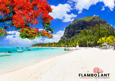 Neues auf Mauritius