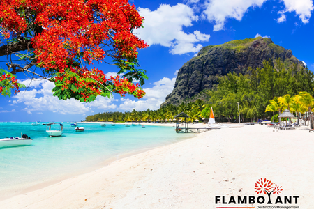 Neues auf Mauritius