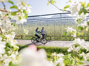 Ein Meer aus Blüten: Im Frühling ist die Apfelstadt Leifers ein Hotspot für Naturfreunde und Aktivurlauber Ein Meer aus Blüten: Im Frühling ist die Apfelstadt Leifers ein Hotspot für Naturfreunde und Aktivurlauber