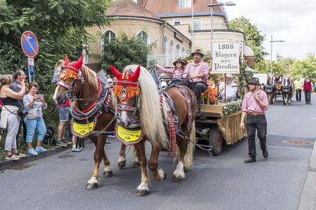 Pferdegespann beim Rakoczy-Festzug