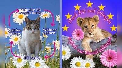 Telekom: Mit Boomer-Slang für Europa begeistern