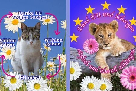 Telekom: Mit Boomer-Slang für Europa begeistern