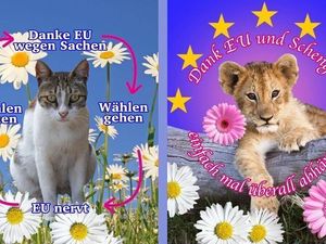 Telekom: Mit Boomer-Slang für Europa begeistern Telekom: Mit Boomer-Slang für Europa begeistern