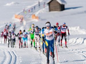Beim legendären Dolomitenlauf in Osttirol, Österreichs größter Langlaufveranstaltung, stellen sich Profis sowie Amateure den kräftezehrenden Herausforderungen über 21 und 42 Kilometer im klassischen und freien Langlaufstil