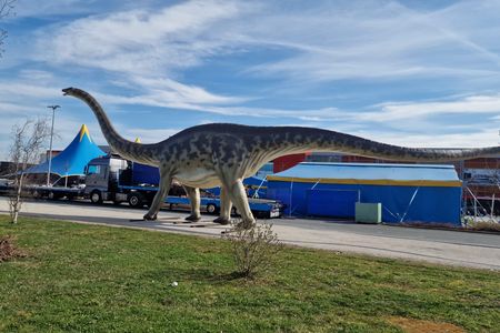 Dino-Land