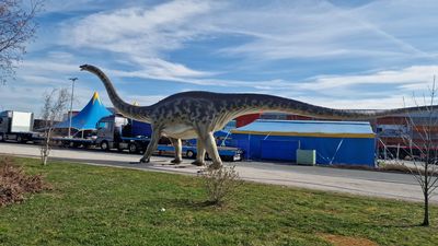 Dino-Land