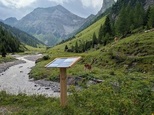 Entlang des neuen Naturwegs Alpe Kaisers im Tiroler Lechtal geben Erlebnisstationen inklusive Mitmach-Tipps spannende Einblicke in Wald, Klima und das Almleben in der österreichischen Region Entlang des neuen Naturwegs Alpe Kaisers im Tiroler Lechtal geben Erlebnisstationen inklusive Mitmach-Tipps spannende Einblicke in Wald, Klima und das Almleben in der österreichischen Region