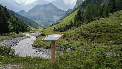 Entlang des neuen Naturwegs Alpe Kaisers im Tiroler Lechtal geben Erlebnisstationen inklusive Mitmach-Tipps spannende Einblicke in Wald, Klima und das Almleben in der österreichischen Region