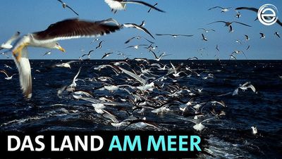 Die Ostfriesischen Inseln gehören zu den spannendsten Zielen für Wassersportlerinnen und Wassersportler in Deutschland