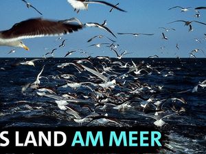 Die Ostfriesischen Inseln gehören zu den spannendsten Zielen für Wassersportlerinnen und Wassersportler in Deutschland Die Ostfriesischen Inseln gehören zu den spannendsten Zielen für Wassersportlerinnen und Wassersportler in Deutschland