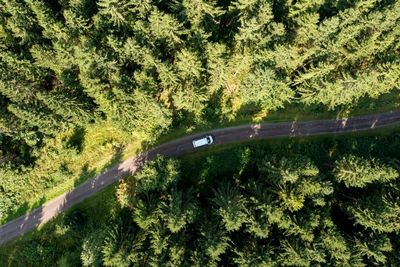 Naturbelassene Wälder, weite Landschaften und geschichtsträchtige Städte: Thüringen bietet vielfältige Möglichkeiten für Campingfreunde