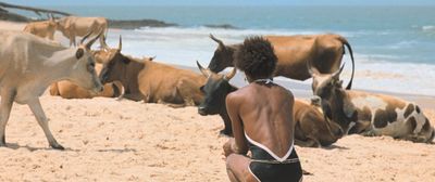 Aus unerfindlichen Gründen trifft Gui (Jonathan Guilherme) auf Kühe am Strand. Foto: Grandfilm