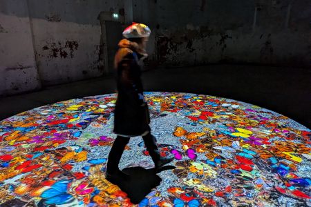 Laurent Mignonneau & Christa Sommerer, Interaktive Installation, Production Videoformes 2026
