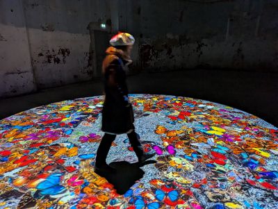 Laurent Mignonneau & Christa Sommerer, Interaktive Installation, Production Videoformes 2026