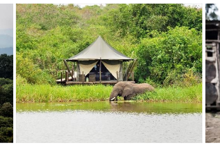 Eine Öko-Safari durch den Akagera Nationalpark