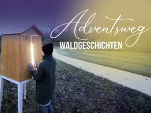 Forum Würth Arlesheim - Adventsweg Waldgeschichten Forum Würth Arlesheim - Adventsweg Waldgeschichten