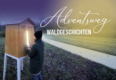 Forum Würth Arlesheim - Adventsweg Waldgeschichten