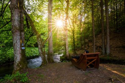 Orte der Stille im Kurwald Bad Berneck 