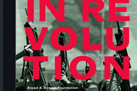 Buch Cuba in Revolution