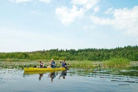 In der Mecklenburgischen Seenplatte bleiben Paddler flexibel, viele Verleiher bringen das Boot an den Wunschort oder holen es ab
