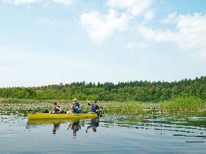 In der Mecklenburgischen Seenplatte bleiben Paddler flexibel, viele Verleiher bringen das Boot an den Wunschort oder holen es ab In der Mecklenburgischen Seenplatte bleiben Paddler flexibel, viele Verleiher bringen das Boot an den Wunschort oder holen es ab