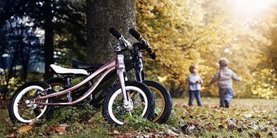Das Petitpierre ist gefertigt wie ein High-End-Sportgeraet fuer Erwachsene, denn Kinder haben nicht etwa geringere Beduerfnisse an ihr Rad
