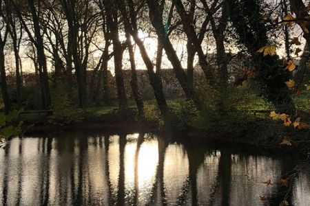 An diesen Stimmungsvollen Bildern einer Waldlandschaft wollen sich die Menschen auch noch in 100 Jahren erfreuen Foto GFDK