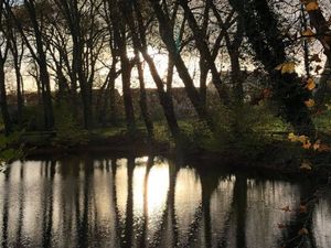 An diesen Stimmungsvollen Bildern einer Waldlandschaft wollen sich die Menschen auch noch in 100 Jahren erfreuen Foto GFDK An diesen Stimmungsvollen Bildern einer Waldlandschaft wollen sich die Menschen auch noch in 100 Jahren erfreuen Foto GFDK