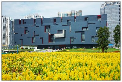 Guangzhou ist eine moderne und blühende Metropole und wird mehr und mehr zu einer wahren Weltstadt. Seit dem internationalen Museumstag am 18. Mai 2010 hat auch das neue Guangdong Museum seine Pforten für die Öffentlichkeit geöffnet. Und ein Besuch hier lohnt sich sicherlich! Denn in einer unvergesslichen Tour kann man hier die lokale Geschichte und Kultur erfahren.